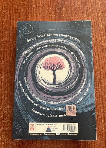 Kiraz Ağacı ile Aramızdaki Mesafe - Görsel 2