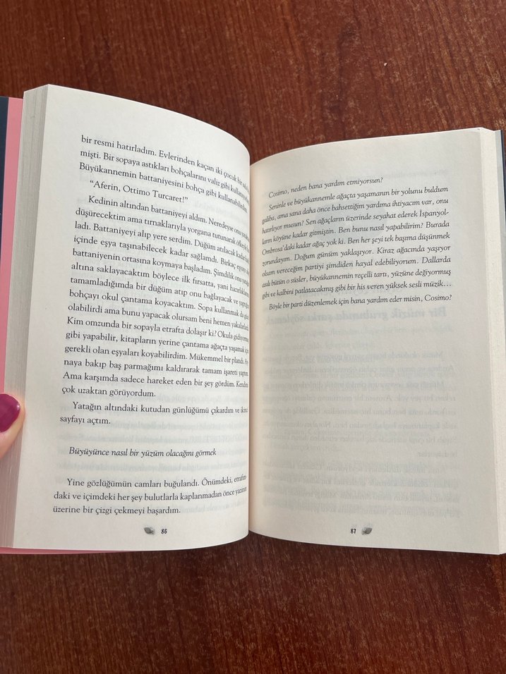 Kiraz Ağacı ile Aramızdaki Mesafe - Görsel 4