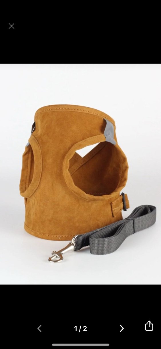 Kedi Göğüs Tasması ve Gezdirme Kayışı - Görsel 2