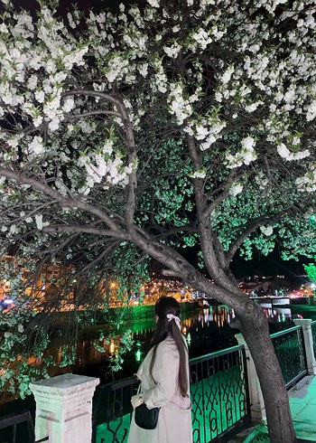 Kadın trençkot - Görsel 4