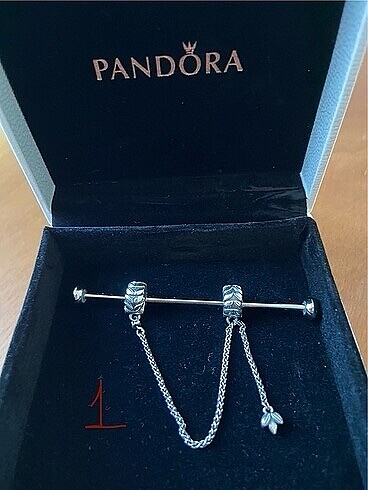 Pandora Pandora charm