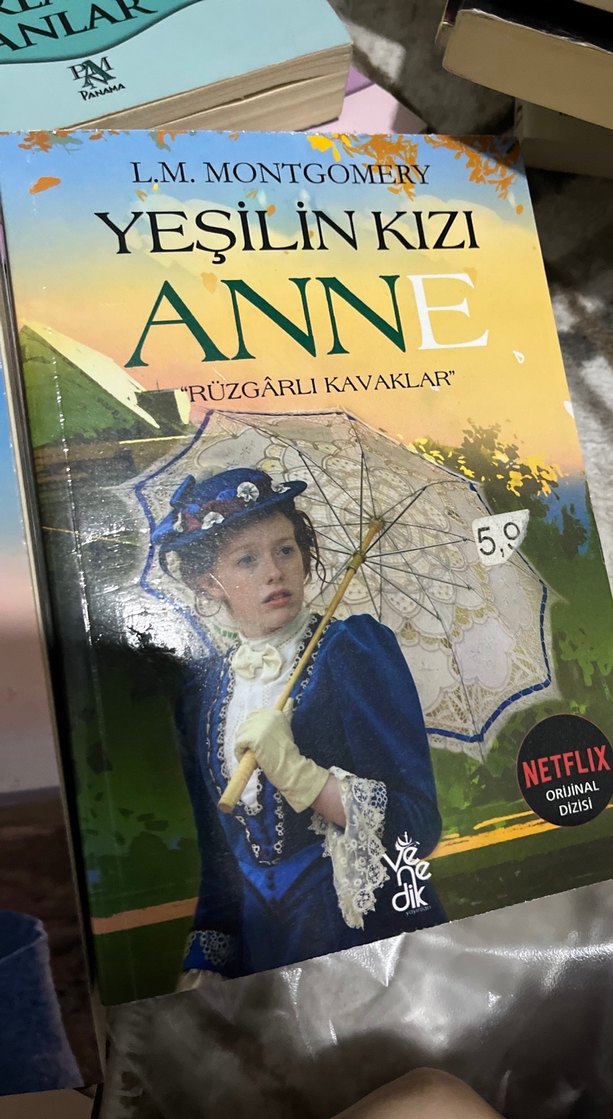 Yeşilin Kızı Anne - Avonlea Romanı - Görsel 3