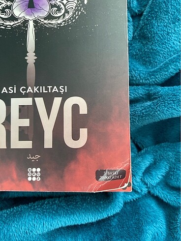  Binnur Şafak Nigiz Reyc
