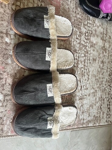 Ugg terlik bay bayan