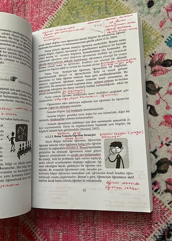 Hayat Bilgisi Öğretimi Kitabı - Görsel 4