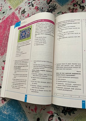  Psikoloji Konu Özetli Soru Bankası