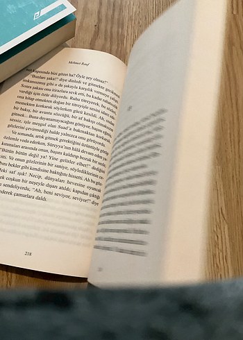 Eylül - Mehmet Rauf Romanı - Görsel 3