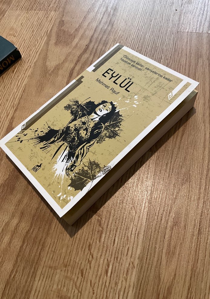 Eylül - Mehmet Rauf Romanı - Görsel 2