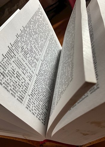 Altın Sözlük İngilizce-Türkçe - Görsel 8