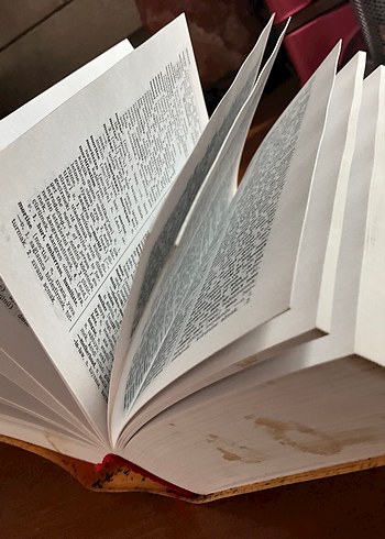 Altın Sözlük İngilizce-Türkçe - Görsel 9