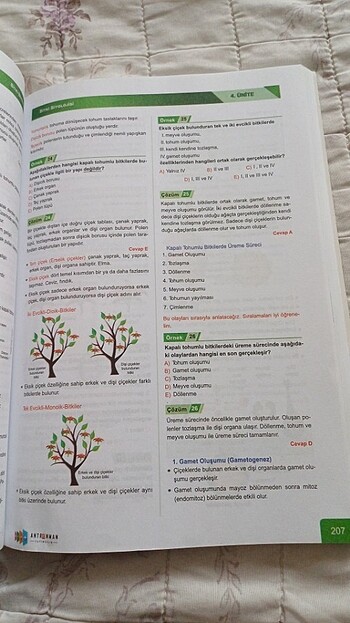  Beden Yks kitap 