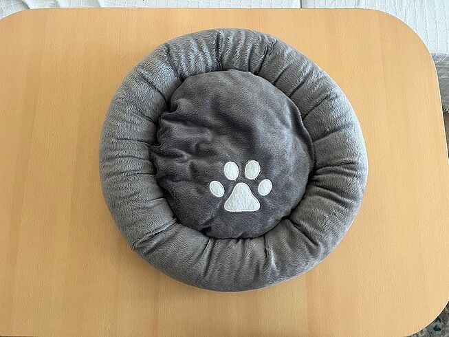 Gri Kedi Yatağı