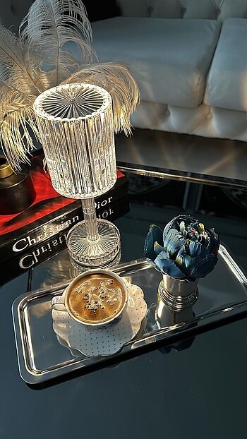  Beden Olay Home Gümüş Gül Kovası