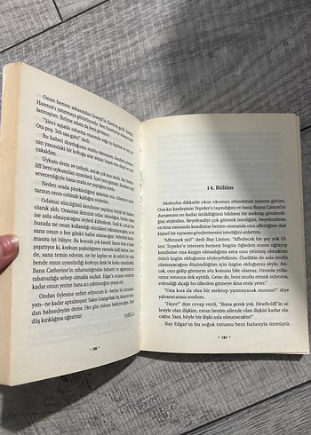 Uğultulu Tepeler - Emily Bronte - Görsel 4