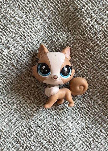 Bej Pastel Renkli Kedi miniş