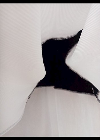 Siyah-Beyaz Pilili Uzun Kadın Elbise - Görsel 2