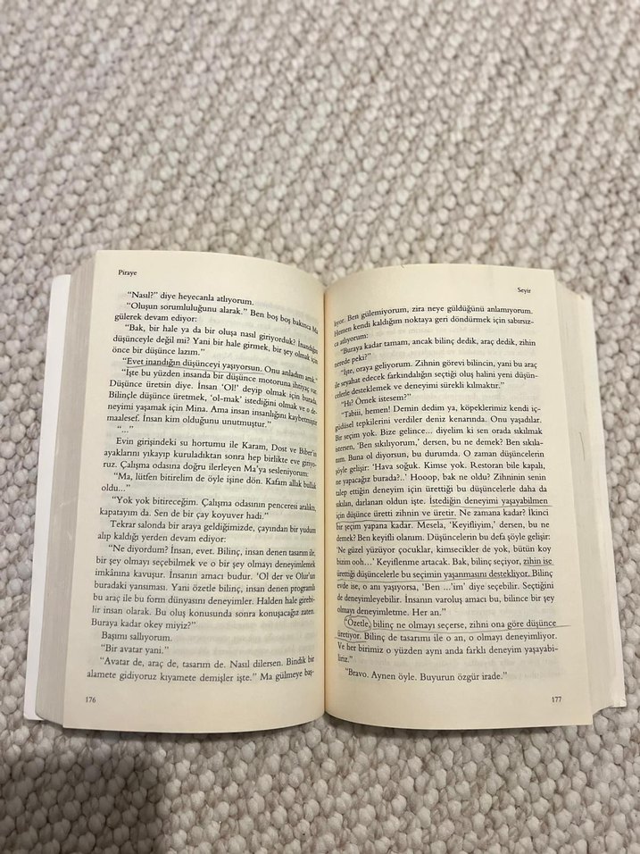 Piraye - Roman - Görsel 3