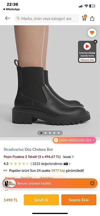 Stradivarius Chelsea bot