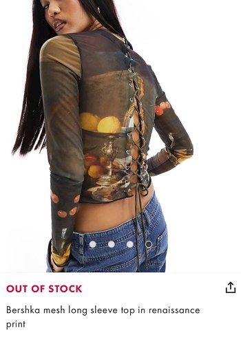 jan davidsz de heem art series bershka mesh - Görsel 3