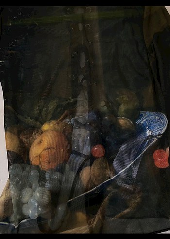 jan davidsz de heem art series bershka mesh - Görsel 5