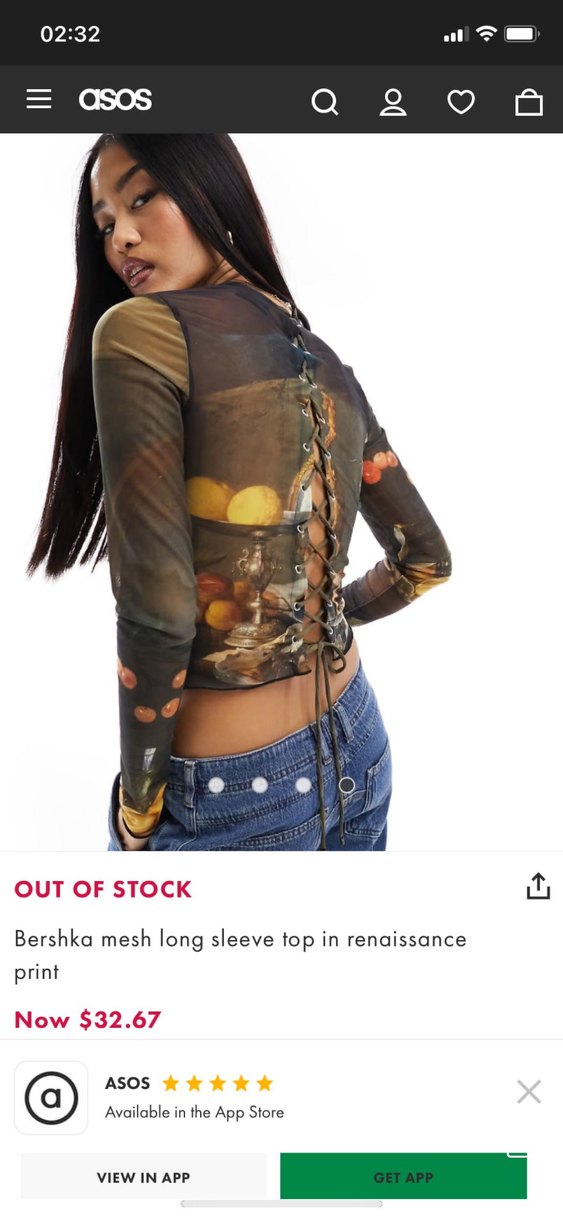 jan davidsz de heem art series bershka mesh - Görsel 3