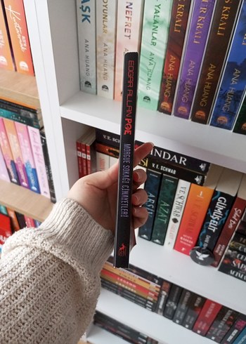 Edgar Allan Poe - Morgue Sokağı Cinayetleri - Görsel 3