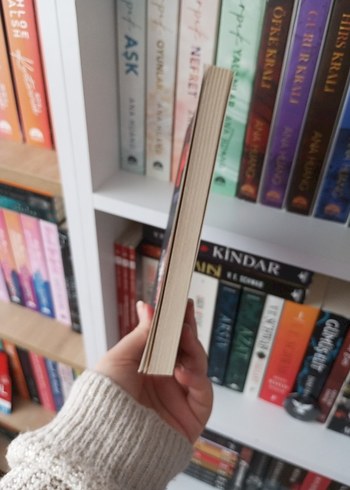 Edgar Allan Poe - Morgue Sokağı Cinayetleri - Görsel 4