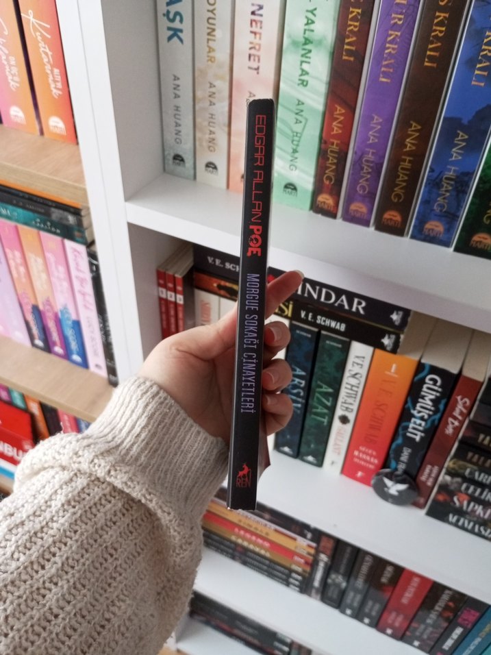 Edgar Allan Poe - Morgue Sokağı Cinayetleri - Görsel 3