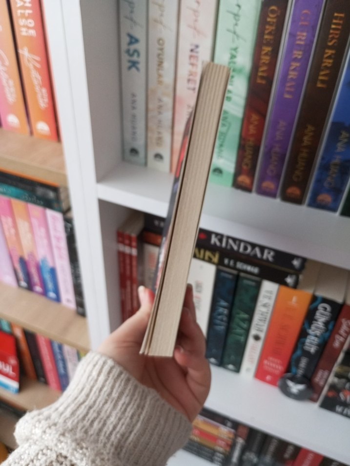 Edgar Allan Poe - Morgue Sokağı Cinayetleri - Görsel 4