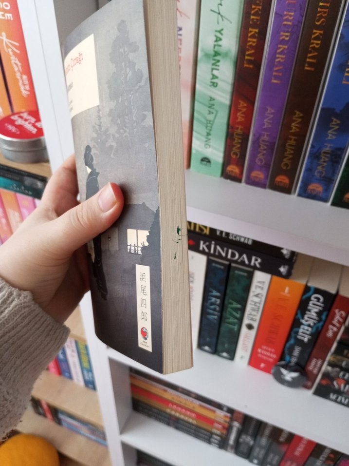 Şeytanın Çırağı - Şiro Hamao - Görsel 3