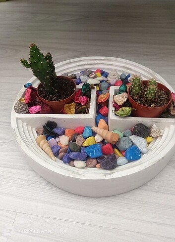 Beden çeşitli Renk Kişiye özel saksı