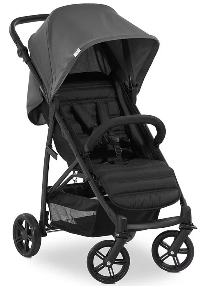 Hauck Buggy Rapid 4 - Görsel 2