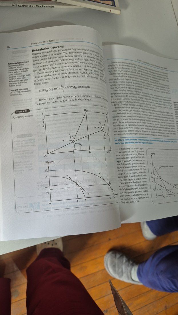 Uluslararası İktisat Teorisi Kitabı - Görsel 4