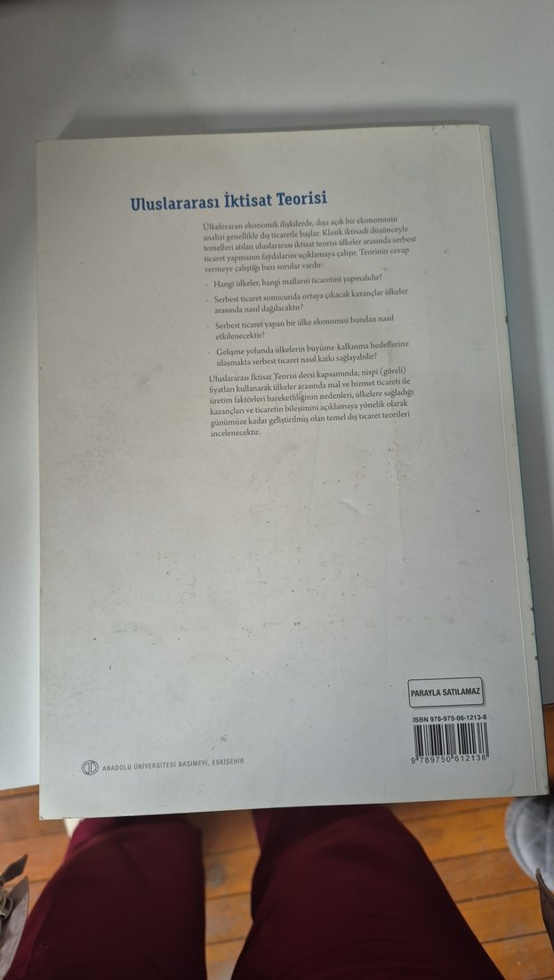 Uluslararası İktisat Teorisi Kitabı - Görsel 3