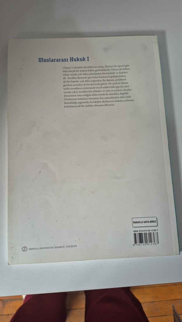 Uluslararası Hukuk I Ders Kitabı - Görsel 3