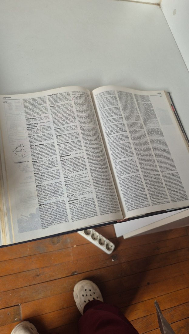 Büyük Larousse Sözlük ve Ansiklopedisi 4 - Görsel 4