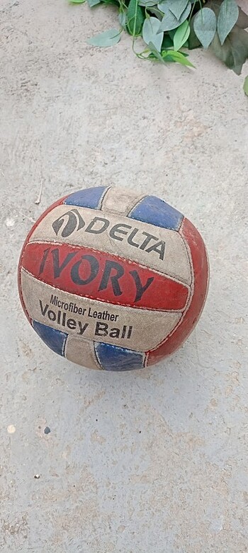 Voleybol topu 