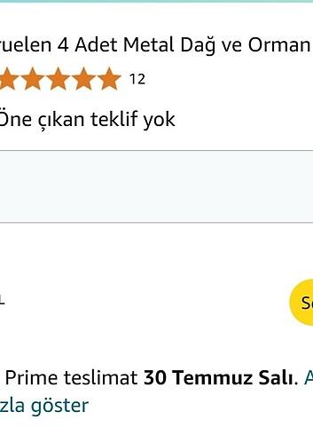 Diğer Duvar Tablo Süsü