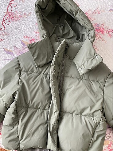 Zara zara mont