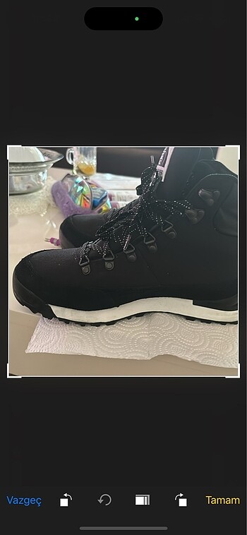 North Face The north face bot