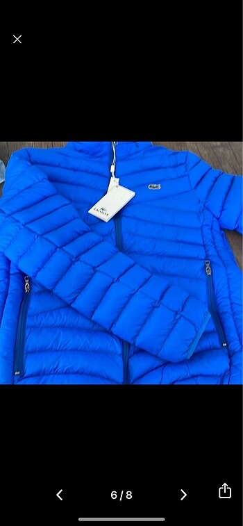 m Beden lacoste mont
