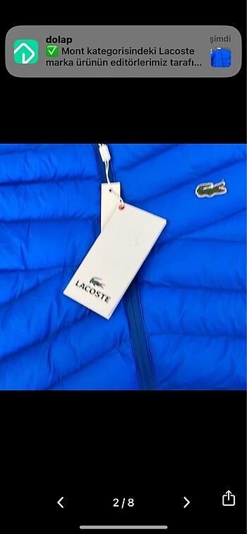 m Beden mavi Renk lacoste mont