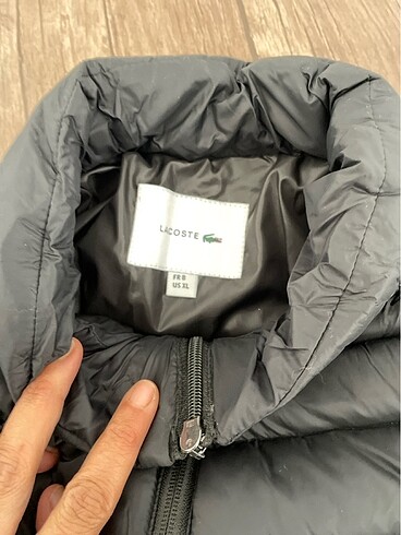 Lacoste lacoste erkek mont