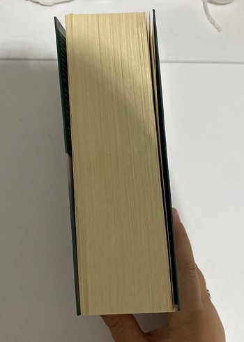  Beden Arı Kovanına Çomak Sokan Kız - Stieg Larsson