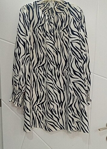 Diğer Zebra tunik