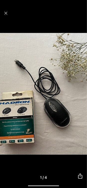 mouse