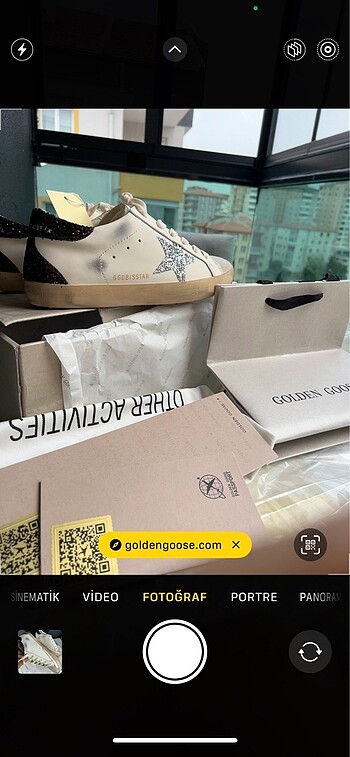 Golden goose