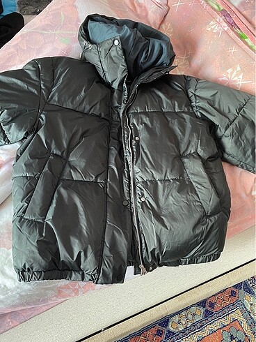 Pull and bear mont