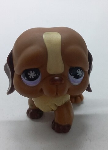 miniş
