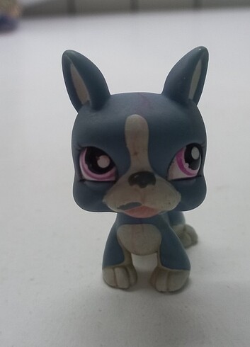miniş